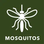 mosquito icon